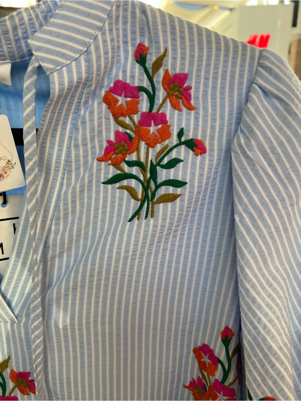 THML Light Blue Striped Mini Dress with Pink Floral Embroidery and Tassels - Picture 3 of 5
